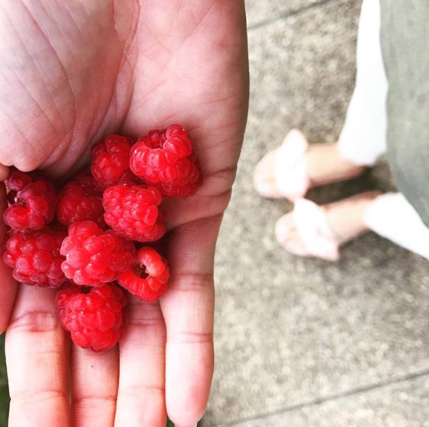 19204661_10210931654502298_720752191_o